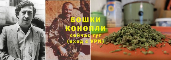 индика Аркадак