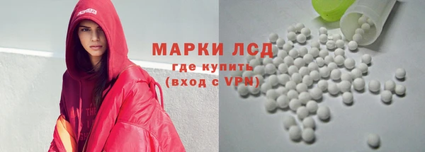 индика Аркадак