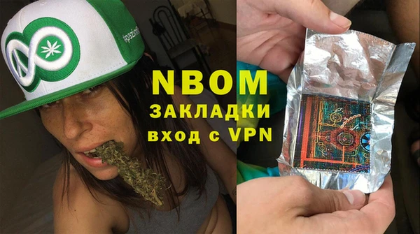 индика Аркадак