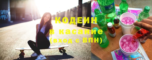 индика Аркадак