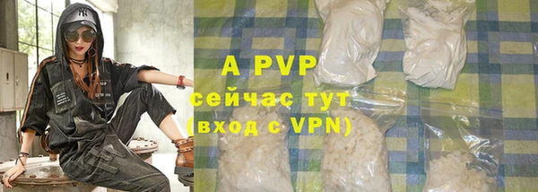 индика Аркадак