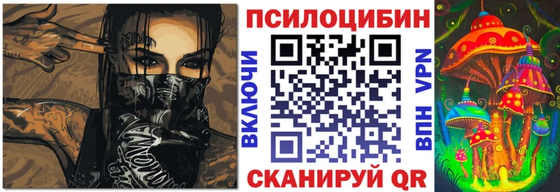купить наркоту  mega ссылка  Галлюциногенные грибы ЛСД  Юрьев-Польский 